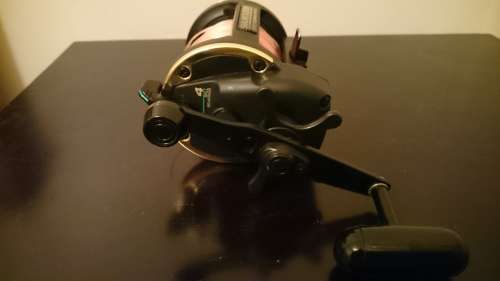 Daiwa Sealine SL50SH